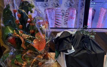 FOTOS: Pre-Opening Timberjacks